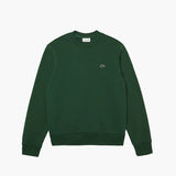 Organic Brushed Cotton Sweatshirt
